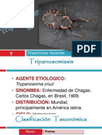 13 Chagas