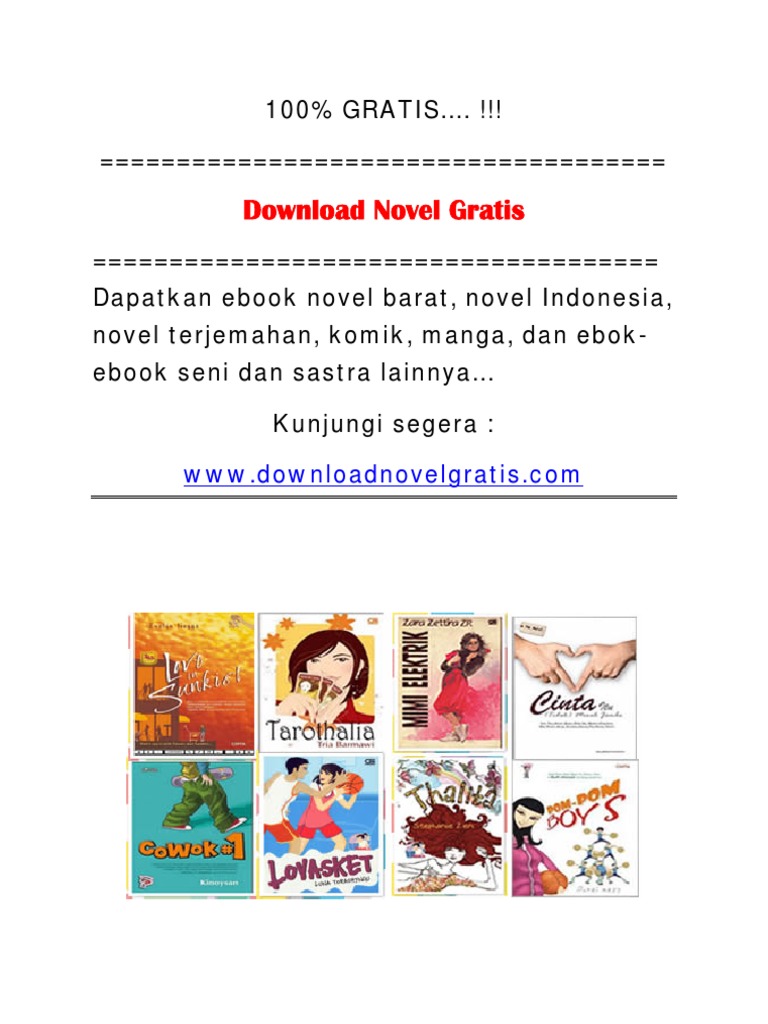 Novel