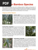 Download African Bamboo Species by Frank Mwarimbo SN141583688 doc pdf