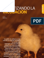 Climatizando Incubacion Pollitos Avicultura