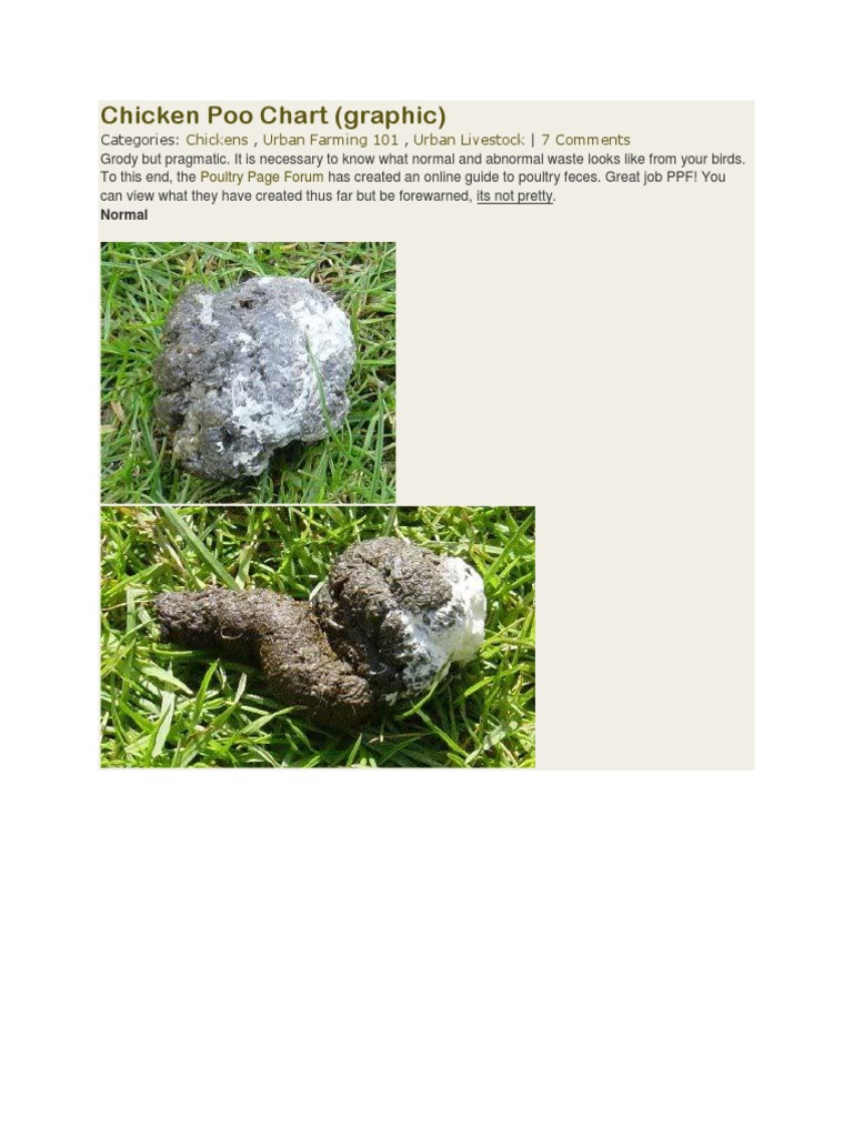 Chicken Poo Chart Chicken Aviculture