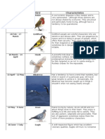 Date of Birth Bird Characteristics