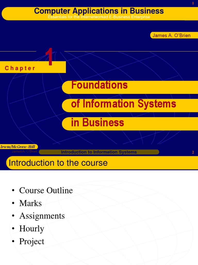 Foundations of Information Systems in Business | PDF | Information ...