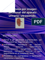 7.5 Anatomía Por Imagen Seccional Del Aparato Urinario Ultrasonido.