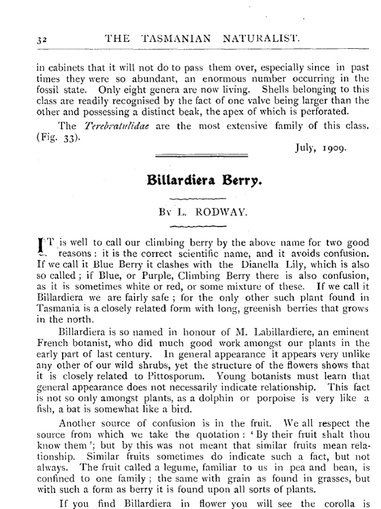 TasNat 1909 Vol2 No2 Pp3233 Rodway BillardieraBerry PDF Petal Fruit