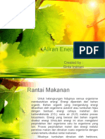 Aliran Energi Dan Daur Materi