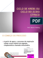 ciclodekrebsouciclodocidoctrico-110804212730-phpapp01.pptx