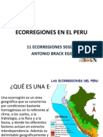 Ecorregiones Del Perú