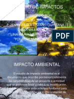 Impacto Ambiental