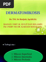 Download KULIT DERMATOMIKOSIS ppt 2010 by Plump Berries SN141646600 doc pdf