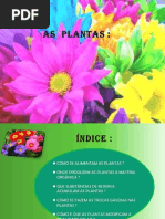 As Plantas - 6.º ano ppt