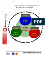 Pymes y Sistemas Integrados de Gestión, Realidad Nacional PDF