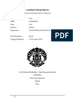 Laporan Praktikum LR-01 Aziz PDF