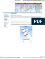 Orientações Médicas - Espondilolise e Espondilolistese