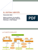 El Sistema Nerviós