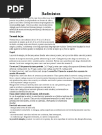 Badminton
