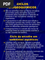 2 Ciclos Biogeoquimicos