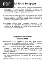 Spatiul Social European