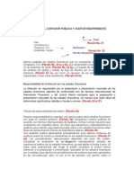 Dictamen Del Contador Público y Auditor Independiente