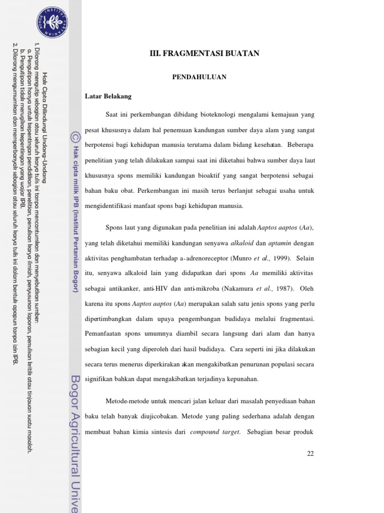 Bab Iii Fragmentasi Buatan