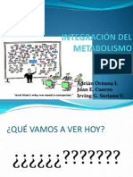 Repasoeintegracionderutasmetabolicas 121114225700 Phpapp02