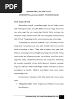 Download Mekanisme Sistem Rangka Dan Otot by SantaSuharniMardalianaSilalahi SN141795428 doc pdf