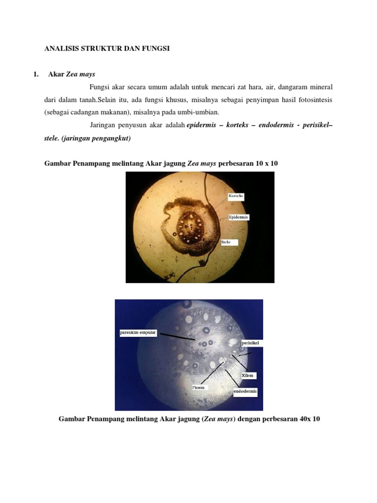Document 1