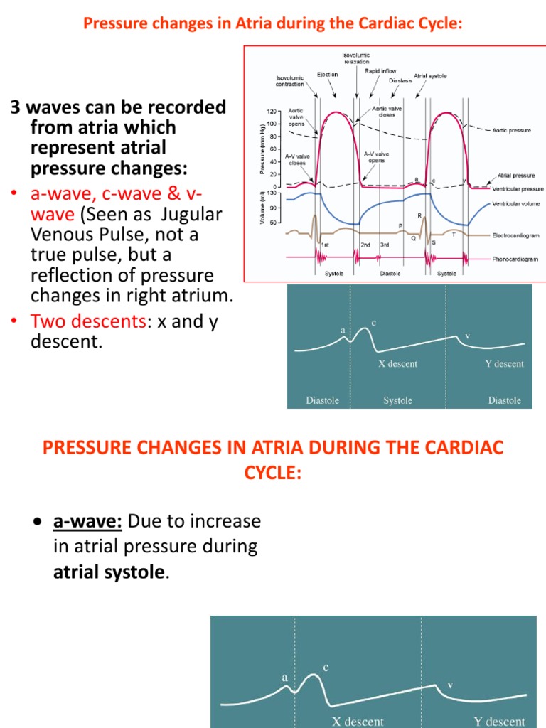 Lecture On Atrial Pressure Changes And Jvp By Dr Roomi