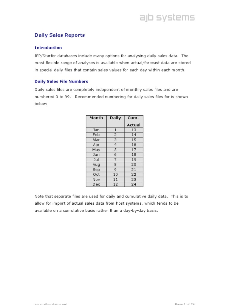 Daily Sales Report Format Guide | PDF | File Format | Text File