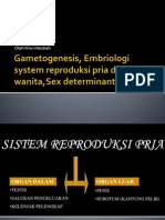 Gametogenesis, Embriologi System Reproduksi Pria Dan Wanita, Sex