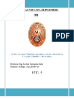 CURVAS CARACTERISTICAS PARCIALES DE VELOCIDAD Y CARACTERISTICAS DE CARGA