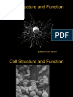 Cell Structure and Function