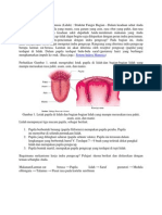 Indera Pengecap Manusia