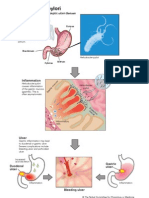 Helicobacter Eng