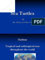 Sea Turtles: by Ms. Gibney and Mrs. Faust
