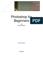 The Beginners Guide To Photoshop