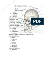 Assessing The Skull and Face-Word