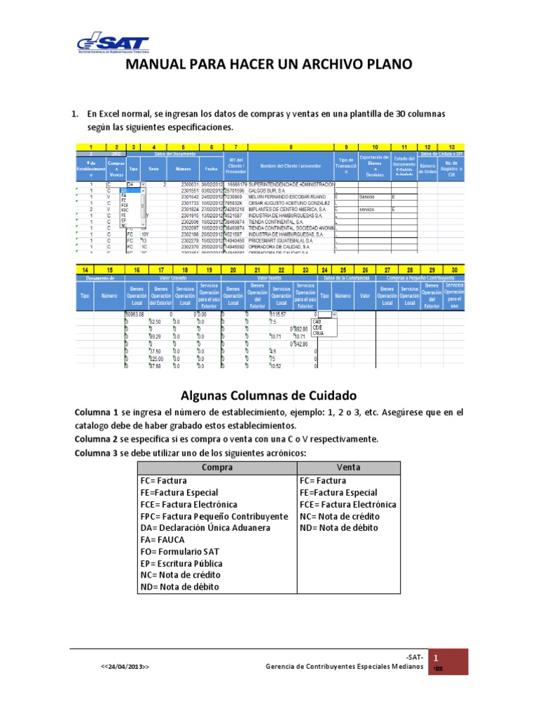 Manual para Hacer Un Archivo Plano