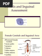 Download Genitals and Inguinal Assessment-Female by malyn1218 SN14188957 doc pdf