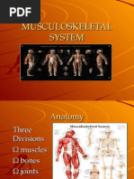 Musculoskeletal System