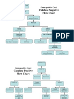 Flow Charts 2