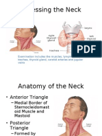 neck[1]2