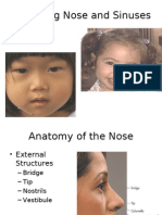 Assessing Nose and Sinuses