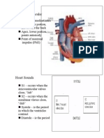 The Cardiovascular