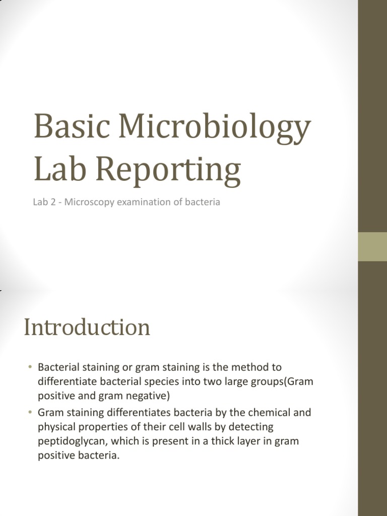 Basic Microbiology Lab Reporting Gram Staining PDF Staining Gram