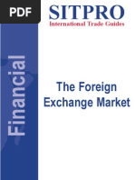 The Foreign Exchange Market: International Trade Guides