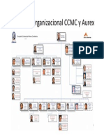 Estructura Organizacional CCMC y Aurex