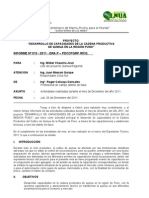 Informe Mensual Diciembre 2011 Ilave