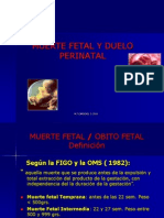 Muerte Fetal 2010