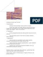 Histologi Jantung